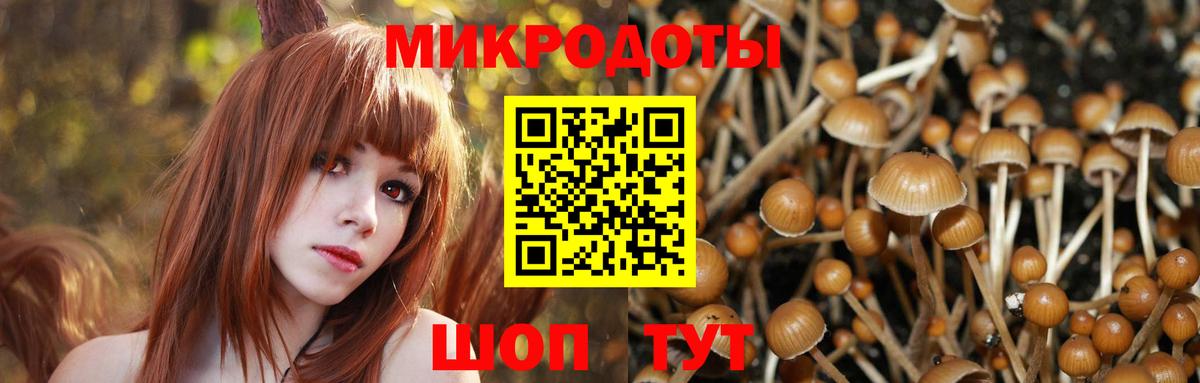Псилоцибиновые грибы Magic Shrooms Рассказово