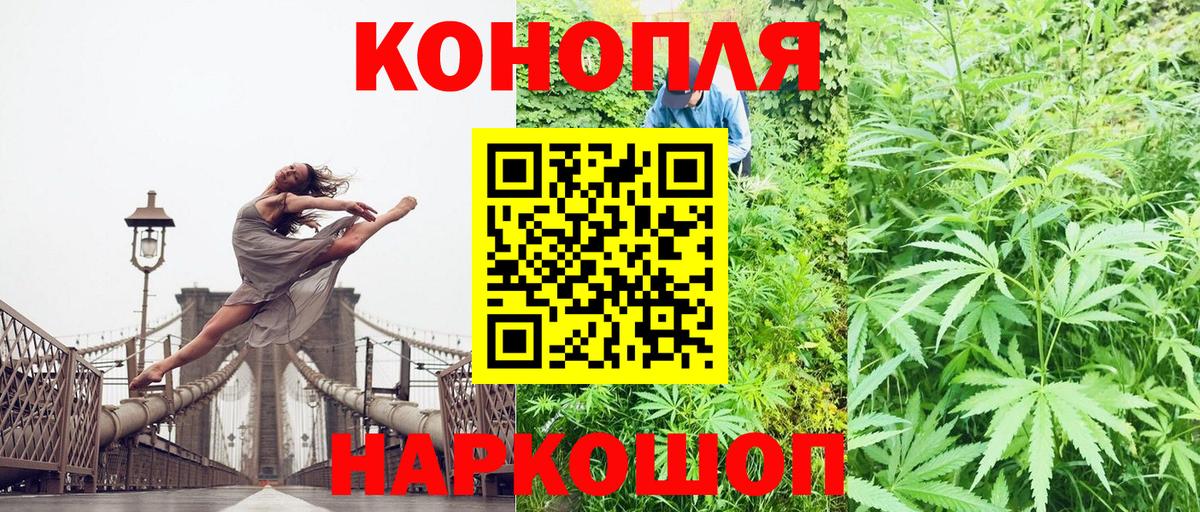 Шишки марихуана OG Kush Рассказово